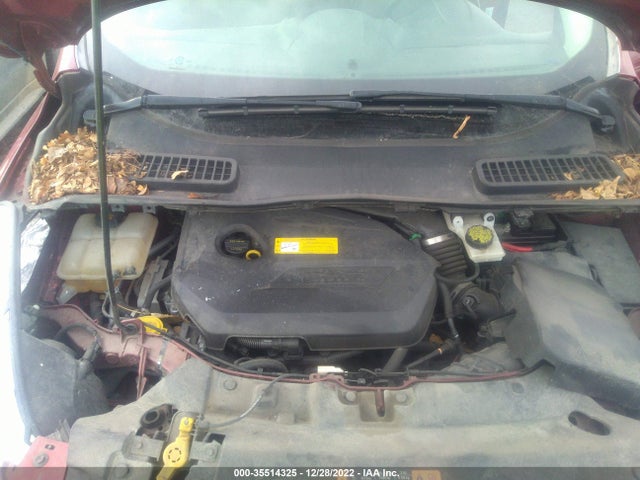 2015 Ford Escape, VIN: 1FMCU0GX1FUC87530