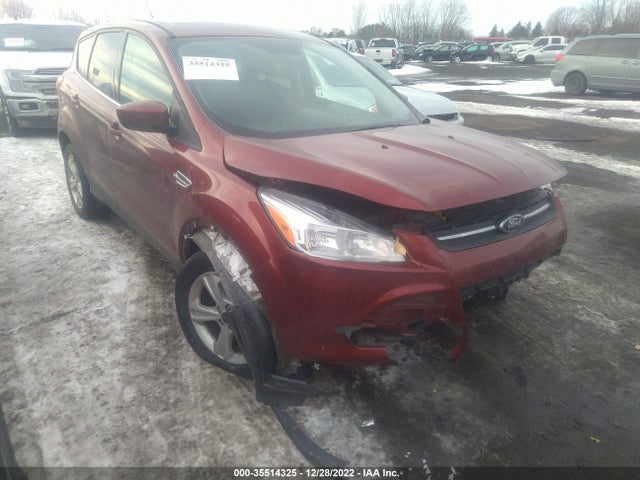 2015 Ford Escape, VIN: 1FMCU0GX1FUC87530