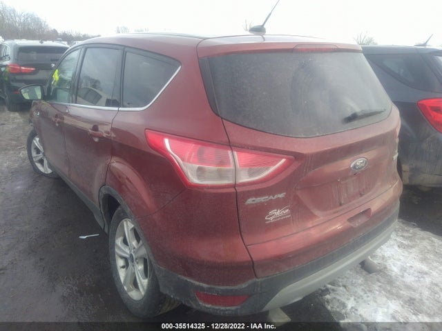 2015 Ford Escape, VIN: 1FMCU0GX1FUC87530