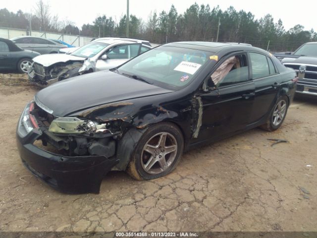 19UUA66256A019593 Acura TL