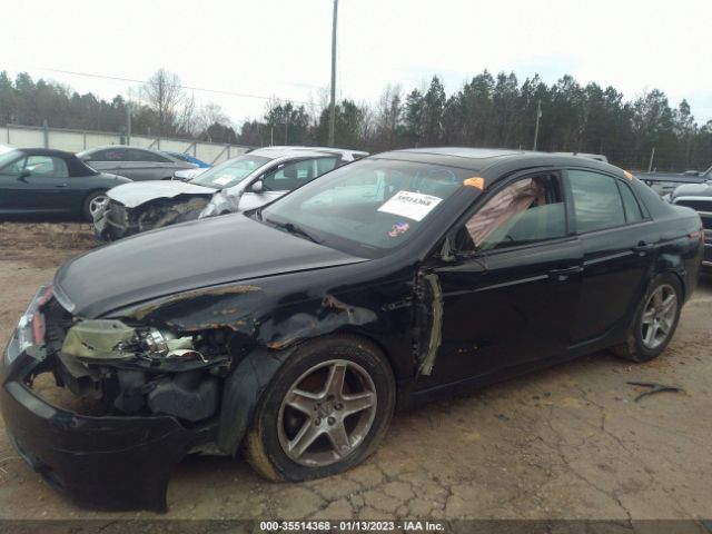 19UUA66256A019593 Acura TL