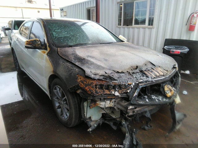 Acura k24w7 2019 19UUB1F33KA001189 Image 13