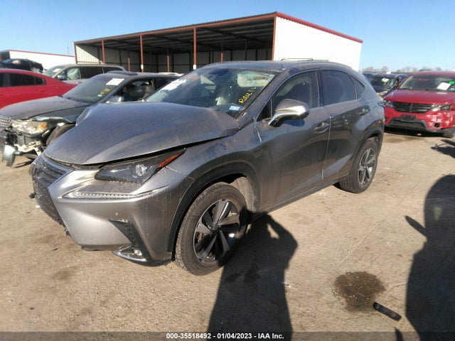 2020 Lexus NX, VIN: JTJGARBZ4L5001443