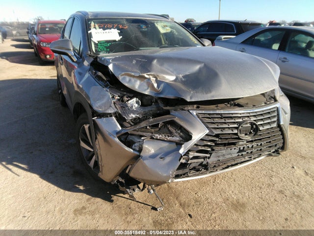 2020 Lexus NX, VIN: JTJGARBZ4L5001443
