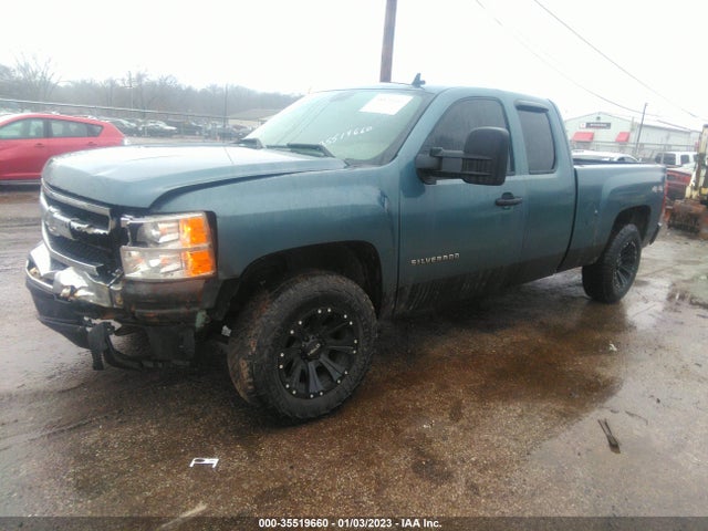 2009 CHEVROLET SILVERADO 1500 WORK TRUCK/LS VIN: 1GCEK19C09Z241889