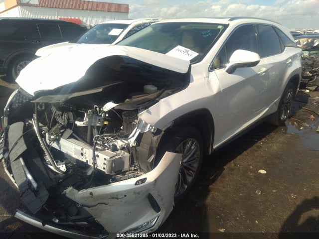 2021 Lexus RX, VIN: JTJJZKEA7M2022933