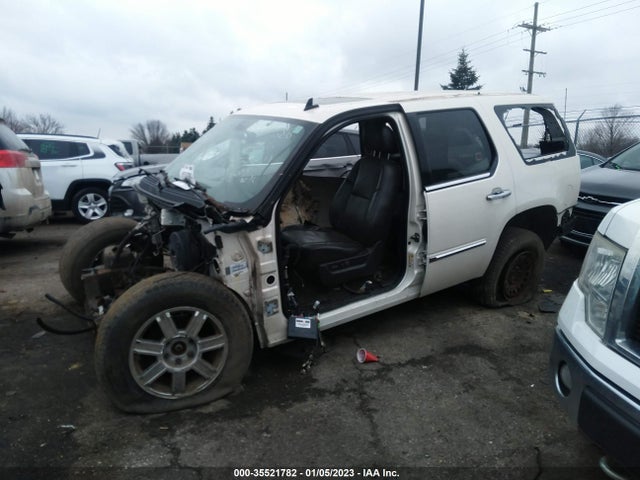Cadillac Escalade Premium 2011 1GYS4CEF2BR156366 Image 6