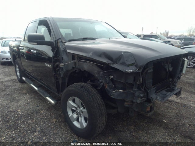 Dodge Ram 1500 Slt 2010 1D7RV1CT0AS148746 главное изображение