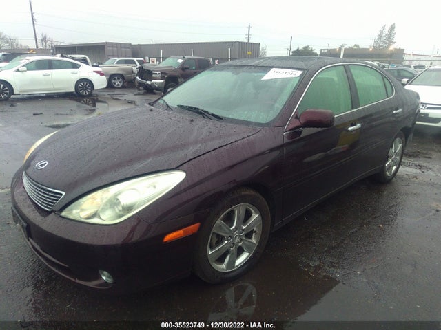 Lexus ES 330 2005 JTHBA30G955090990 Image 2