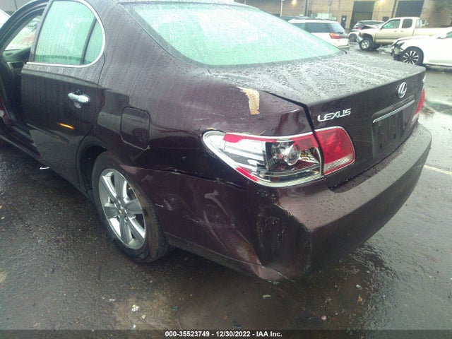 Lexus ES 330 2005 JTHBA30G955090990 Image 7