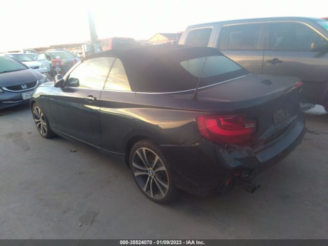 WBA1K9C53GV710076 BMW 2 Series 228i
