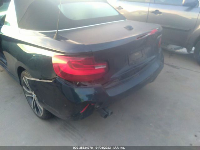 WBA1K9C53GV710076 BMW 2 Series 228i