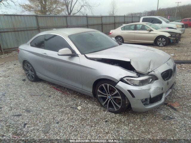 2016 BMW 2 Series, VIN: WBA1F5C51GV343806