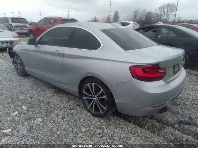 2016 BMW 2 Series, VIN: WBA1F5C51GV343806