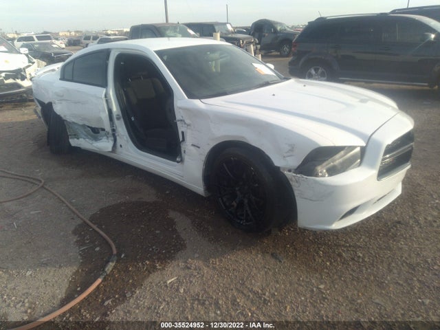 Dodge Charger Rt 2014 2C3CDXCT7EH124046 Image 1