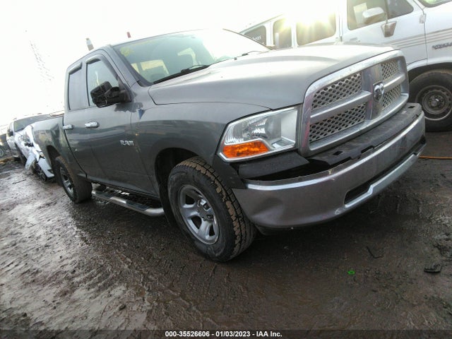 Dodge Ram 1500 St 2010 1D7RV1GP5AS255840 zdjęcie główne