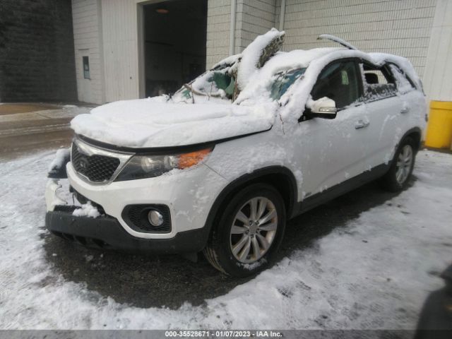 5XYKUDA2XBG014179 KIA SORENTO EX