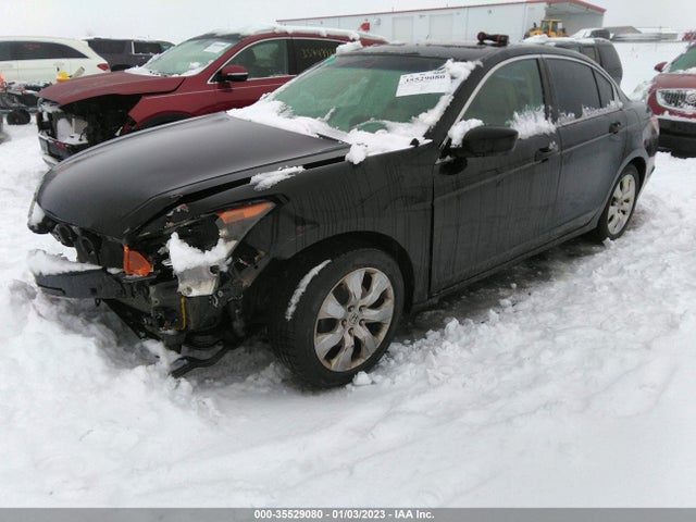 2010 HONDA ACCORD SDN EX-L VIN: 1HGCP2F8XAA196656