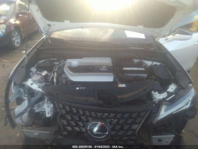 2021 Lexus UX, VIN: JTHX3JBHXM2043462