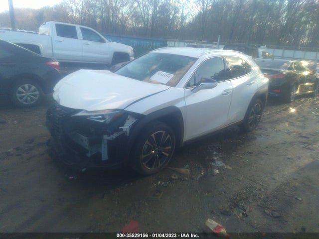 2021 Lexus UX, VIN: JTHX3JBHXM2043462