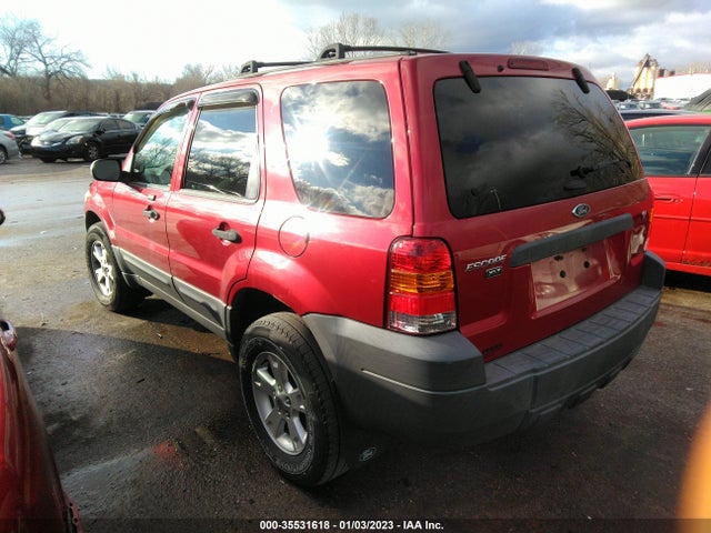 2007 FORD ESCAPE XLT VIN: 1FMYU031X7KA69834
