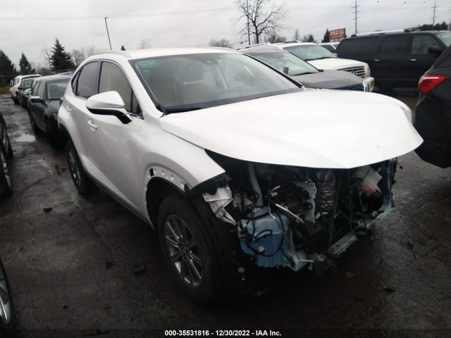 2021 Lexus NX, VIN: JTJDARDZ9M5027974