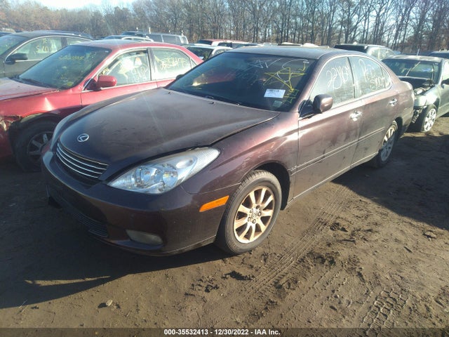 2004 LEXUS ES 330 VIN: JTHBA30G040007295