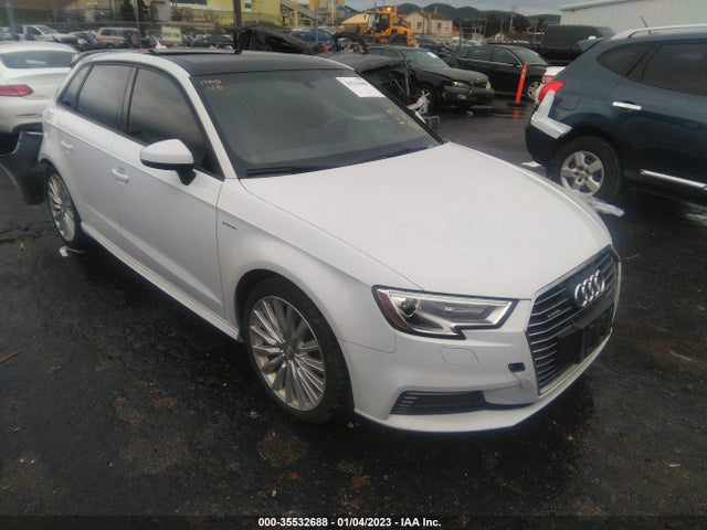 2017 Audi A3, VIN: WAUUPBFF1HA146219