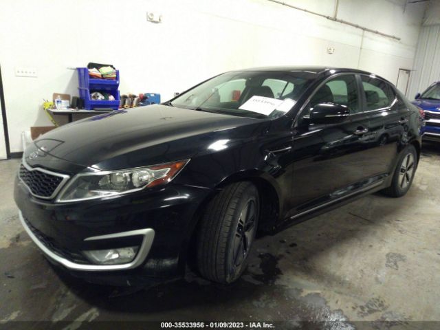 KNAGM4AD9C5019646 KIA OPTIMA HYBRID
