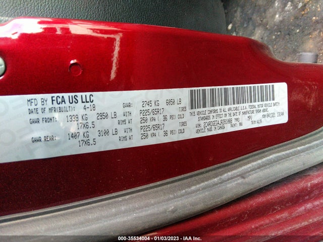 2018 Dodge Grand Caravan, VIN: 2C4RDGEG4JR281088