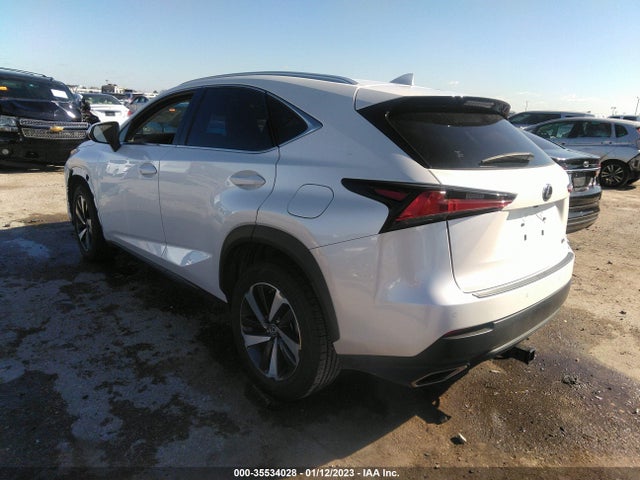 2018 Lexus NX, VIN: JTJYARBZ4J2097920