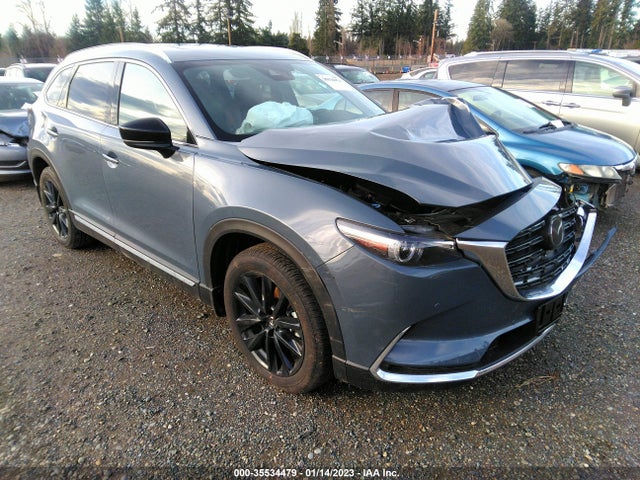 2023 Mazda CX-9, VIN: JM3TCBDY1P0636721