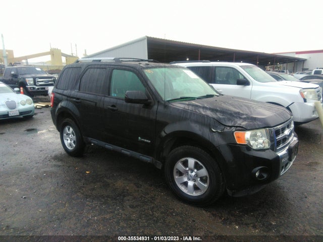 2009 FORD ESCAPE HYBRID VIN: 1FMCU59339KB26670