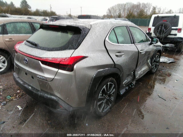 2019 Lexus UX, VIN: JTHU9JBH9K2012251
