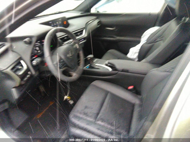 2019 Lexus UX, VIN: JTHU9JBH9K2012251