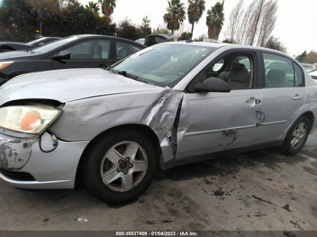 2005 CHEVROLET MALIBU LS VIN: 1G1ZT54835F304173