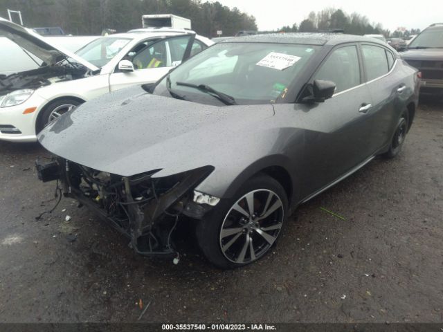 1N4AA6AP8HC362268 Nissan Maxima Platinum
