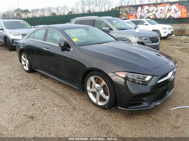 2020 Mercedes-Benz CLS-Class, VIN: W1K2J5KB6LA072858