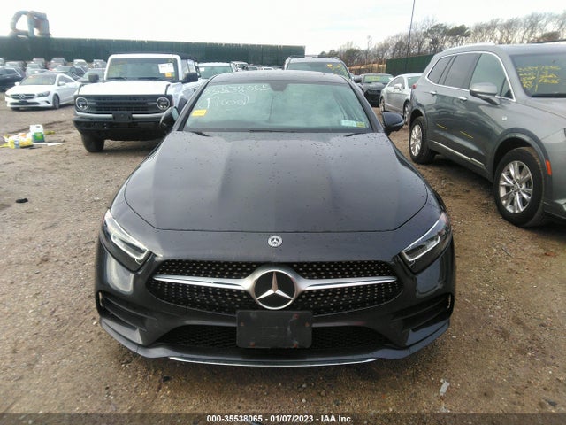 2020 Mercedes-Benz CLS-Class, VIN: W1K2J5KB6LA072858