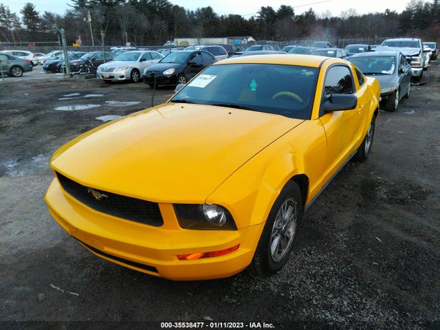 2006 FORD MUSTANG STANDARD/DELUXE/PREMIUM VIN: 1ZVFT80N565148598