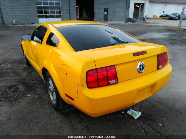 2006 FORD MUSTANG STANDARD/DELUXE/PREMIUM VIN: 1ZVFT80N565148598