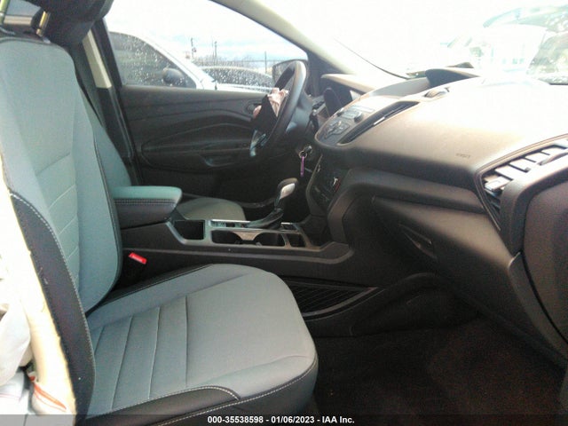 2019 Ford Escape, VIN: 1FMCU0F77KUA02356