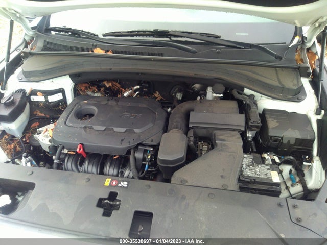 2019 Hyundai Santa Fe, VIN: 5NMS2CAD2KH076571