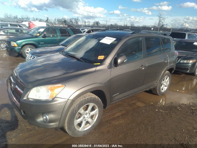 2010 TOYOTA RAV4 LTD VIN: 2T3DK4DV1AW014785