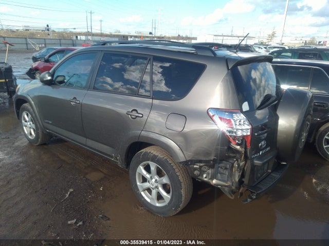 2010 TOYOTA RAV4 LTD VIN: 2T3DK4DV1AW014785