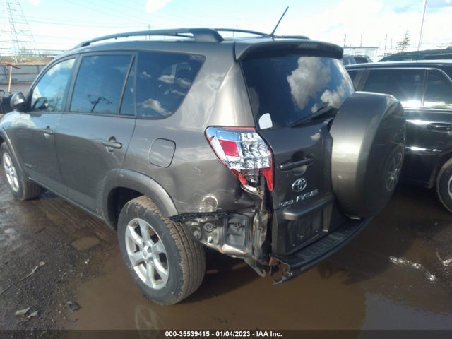 2010 TOYOTA RAV4 LTD VIN: 2T3DK4DV1AW014785