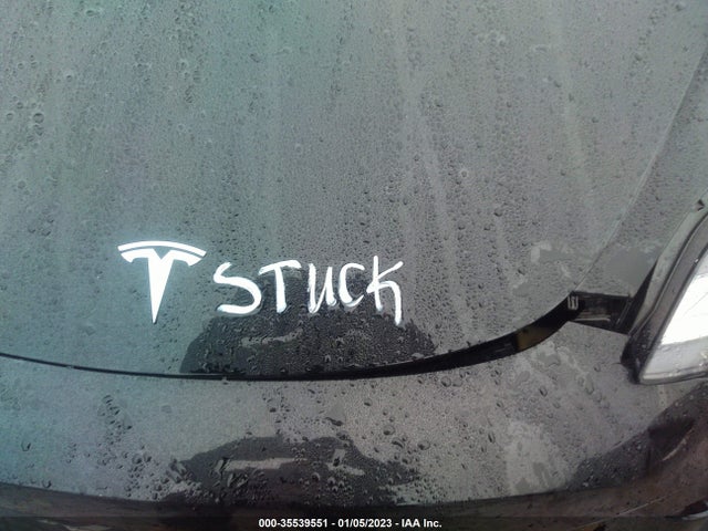 Tesla MODEL 3 2021 5YJ3E1EA6MF981030 Image 10