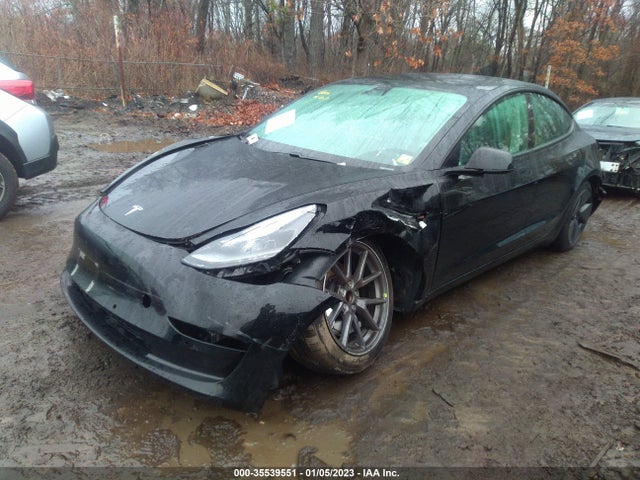 Tesla MODEL 3 2021 5YJ3E1EA6MF981030 Image 2