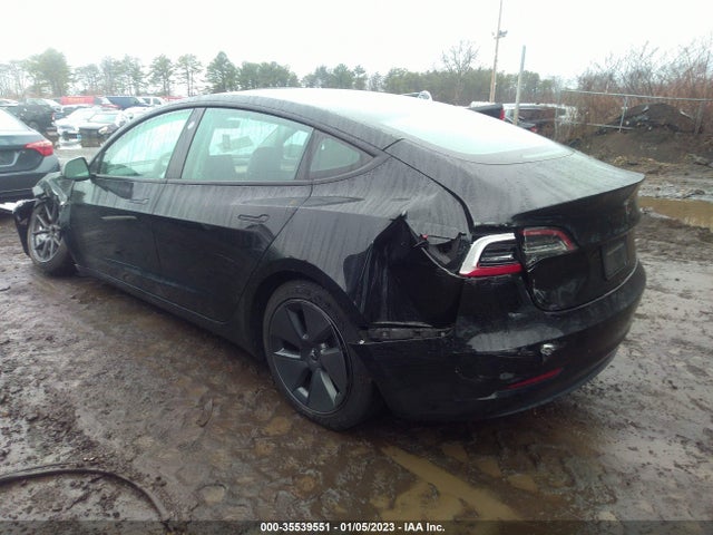 Tesla MODEL 3 2021 5YJ3E1EA6MF981030 Image 3
