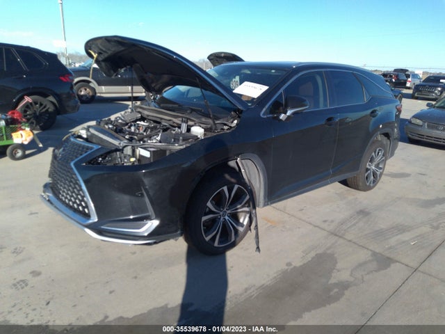 2021 Lexus RX, VIN: JTJHZKFA6M2033029